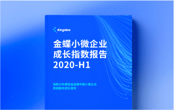 小微成长指数报告（2020年H1）