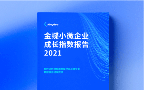 小微成长指数报告（2021年）