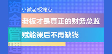 老板才是真正的财务总监